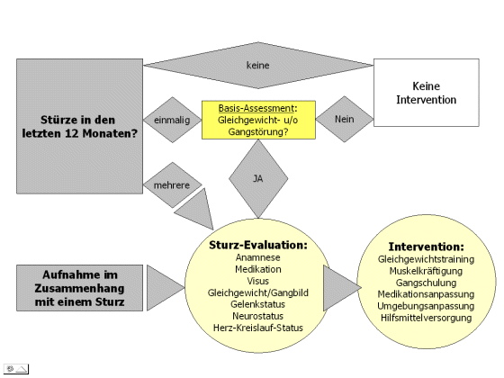 Abb. 3: Algorithmus Sturz-Assessment und -Management