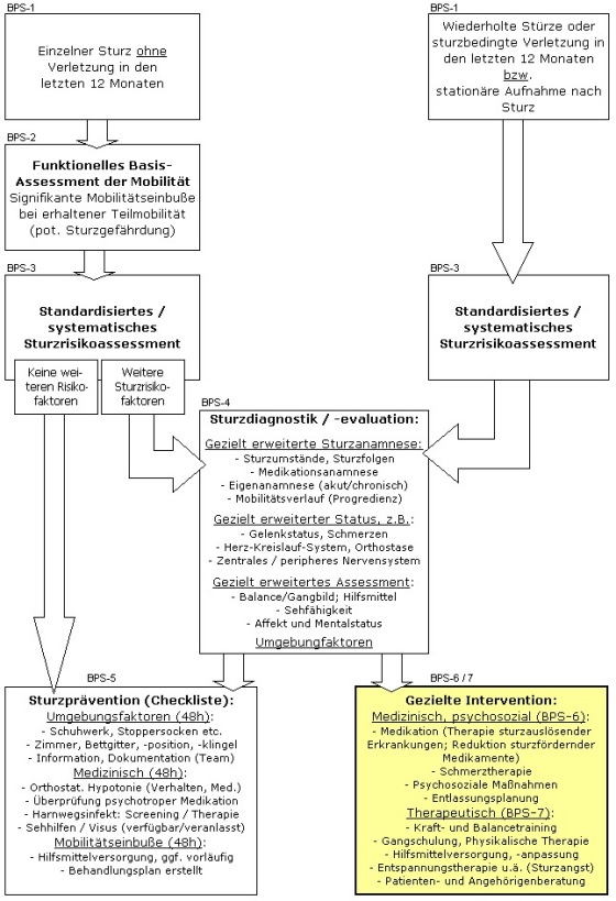 Abb. 7: Beste Praxis Sturzprvention und -intervention (Gemidas-QM)