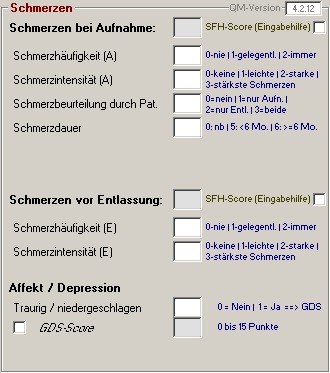 Abb. 1: Datenmaske zur Schmerzerfassung